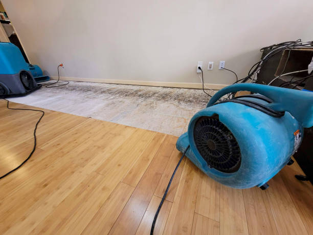 Professional Flood Damage Cleanup technician working in Madison, GA